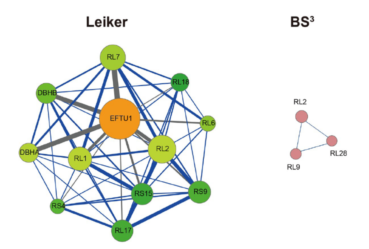 图3：CXMS analyses of E. coli and C. elegans lysates. The best protein-protein interaction cluster extracted from the Leiker-identified or BS3-identified (Yang et al., 2012) inter-links from E.coli whole-cell lysates.
