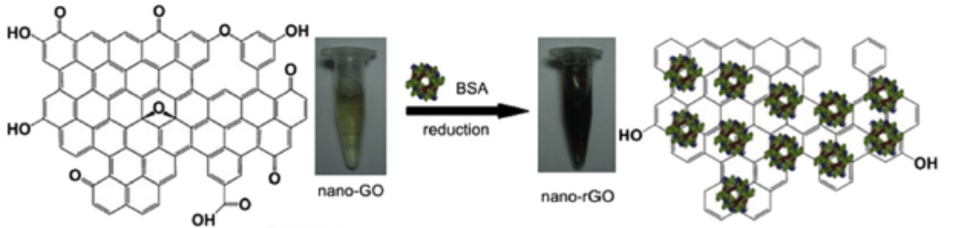 图 1：Reduction of graphene oxide with bovina serum albumin (BSA) to produced reduced-GO<sup>[1]</sup>.