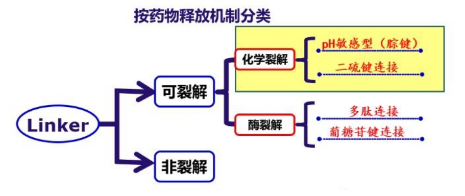 图1 ADC linker分类