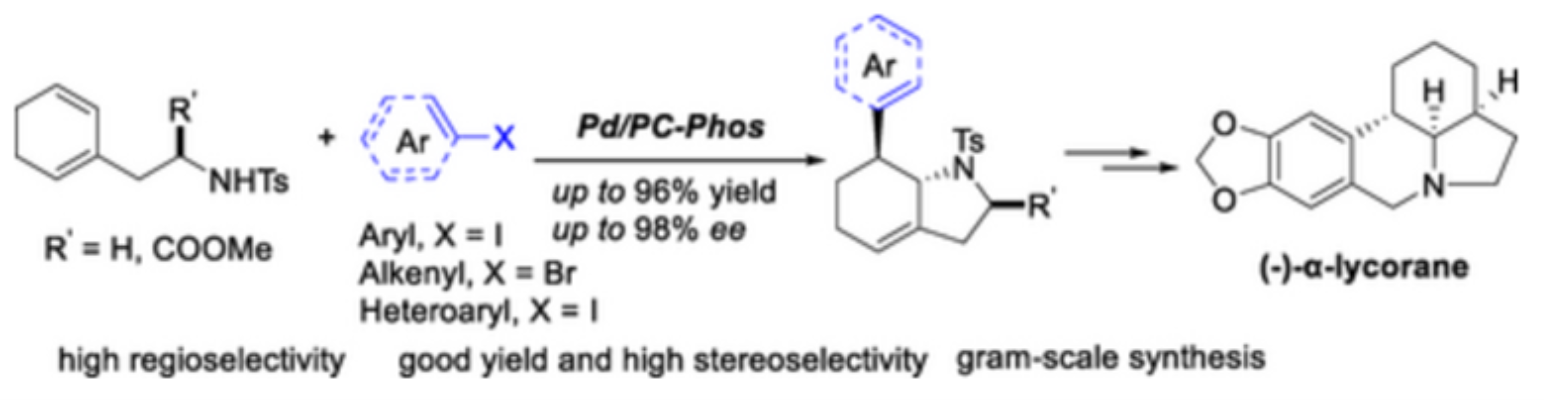 图2：Pd/PC-Phos 催化的氨基系链1,3-环己二烯与芳基和烯基卤化物的不对称 Heck/Tsuji-Trost 反应