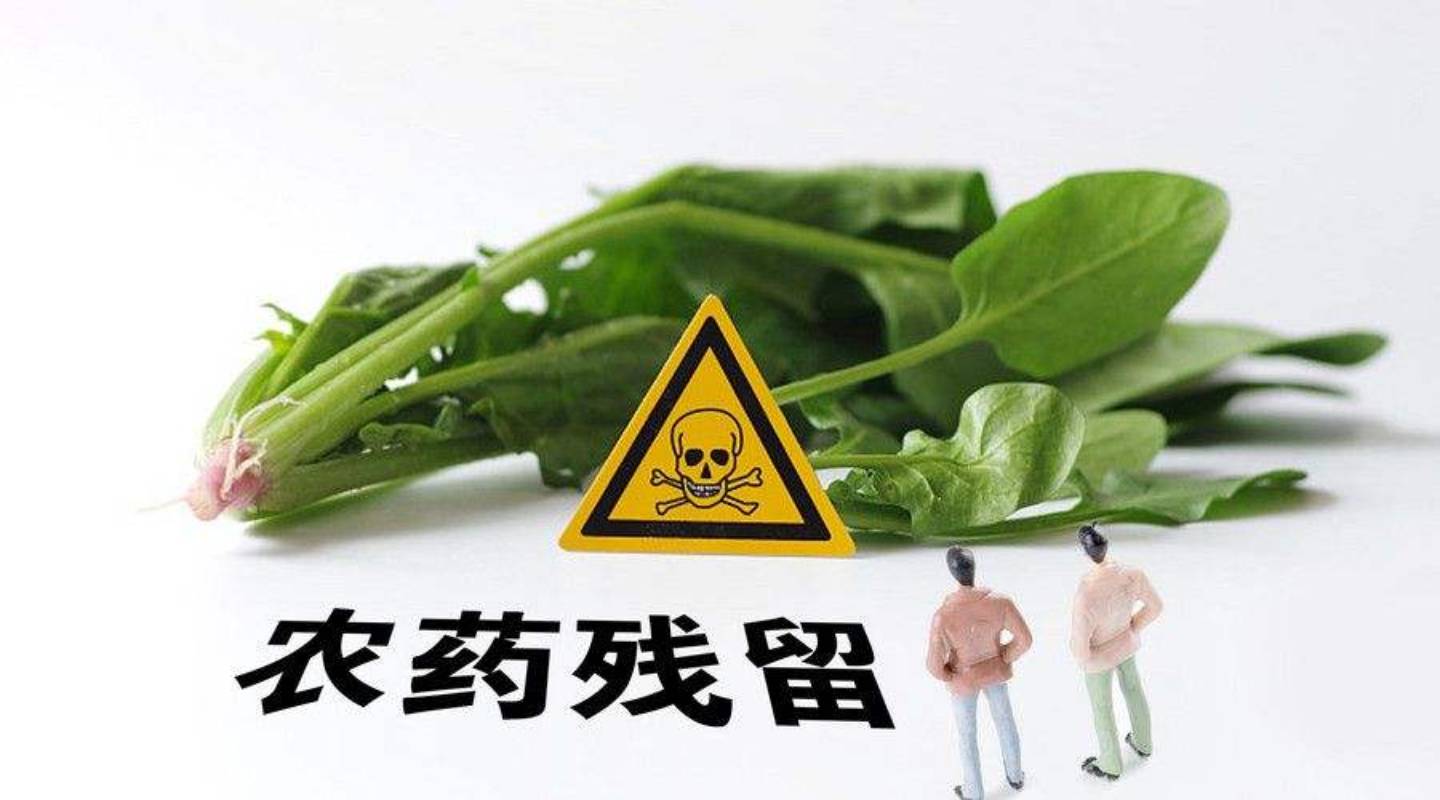 本图片来源于网络，如有侵权，请联系我们删除
