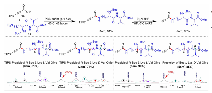 <b>图 4. 利用 ¹³C NMR 评估肽修饰中的立体选择性。</b>