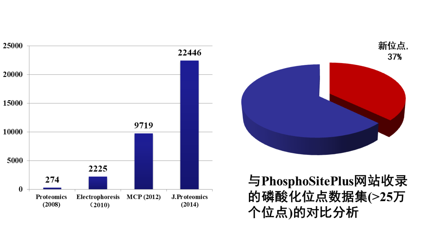 图4 得到人肝组织最大的磷酸化位点数据集<sup>[5]</sup>