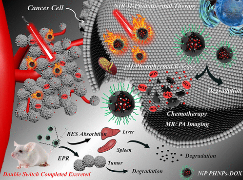 图1 NiP PHNPs for Tumor Chemo-/Photothermal Therapies in the NIR II Biowindow.