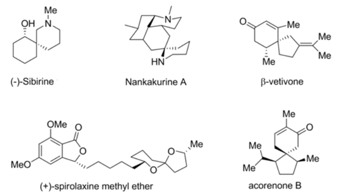 螺环化合物具有多种药物和生理活性