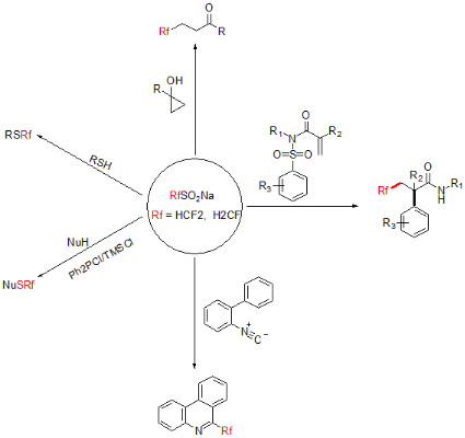 图1：RfSO<sub>2</sub>Na与烯烃、杂原子、异氰、芳杂环、环丙烷等发生自由基反应，生成相应的含CF<sub>2</sub>H或CH<sub>2</sub>F的产物
