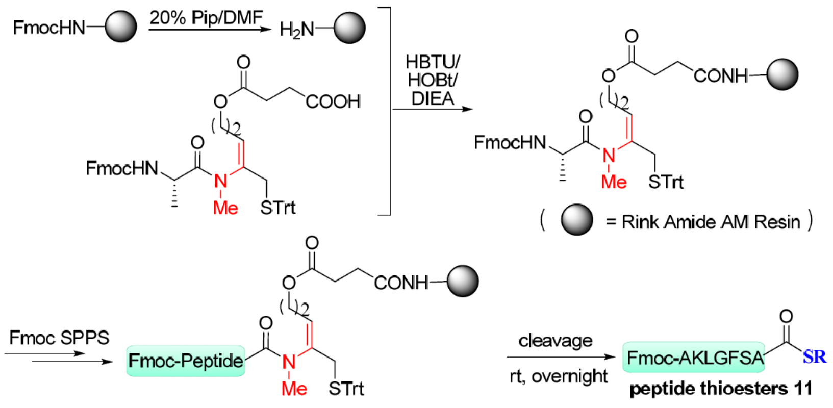 图1 Rink amide-AM 树脂用于Fmoc多肽合成<sup> [1] </sup>