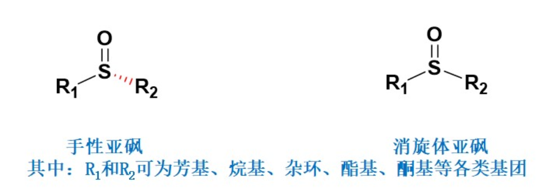 图2 手性亚砜结构通式