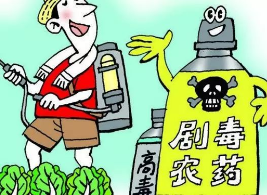 图片源自网络，如有侵权，请联系删除。