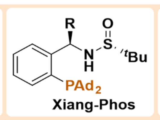 图1：xiang-Phos结构通式<sup>[1]</sup>