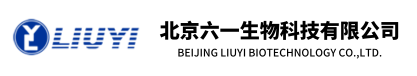 六一